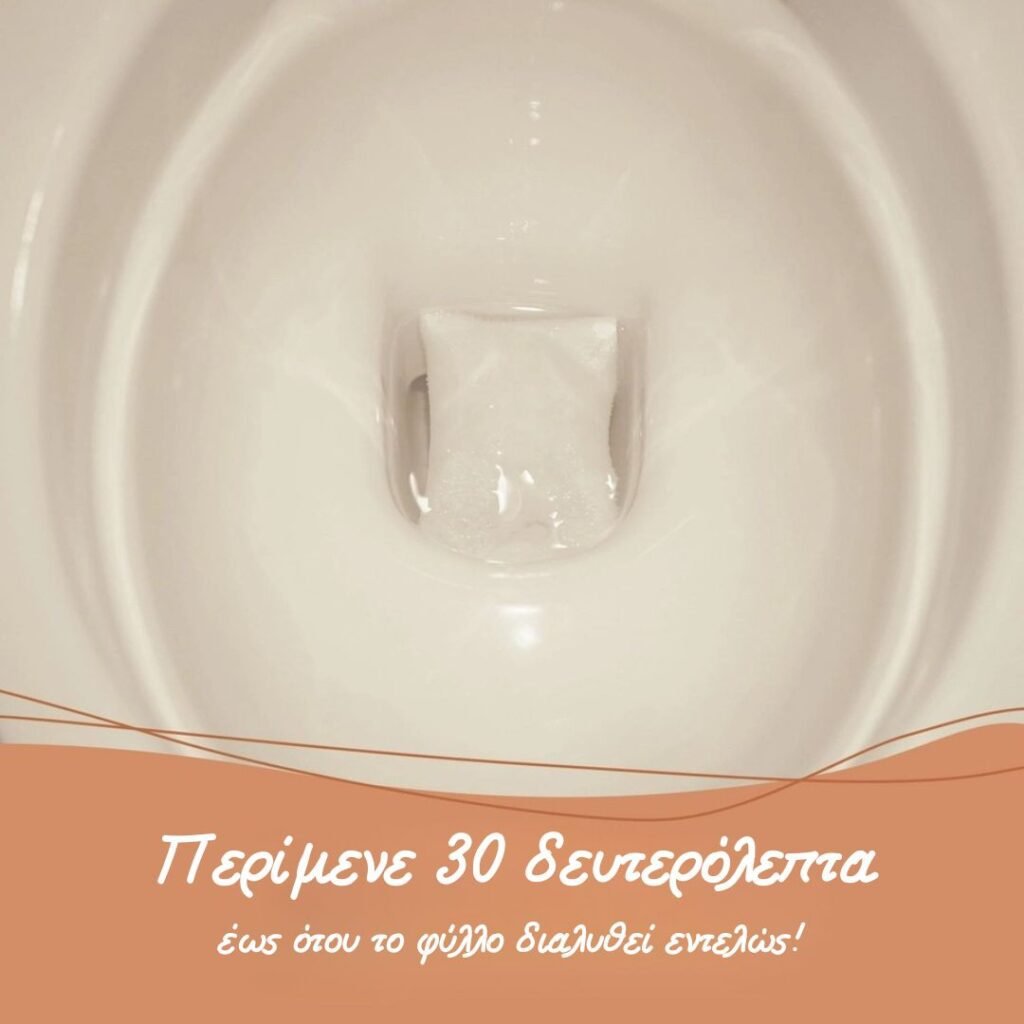 Φύλλα Καθαρισμού Τουαλέτας